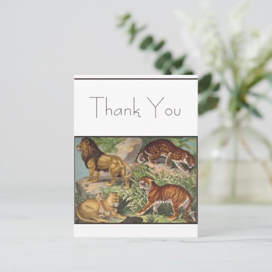 大きな猫ライオンズタイガース、ヒョウ、動物プリント ポストカード (スタンド正面)