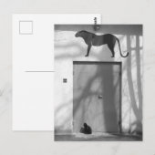 大きな猫小猫 ポストカード (正面/裏面)