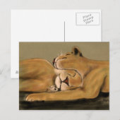 大きな猫昼寝 ポストカード (正面/裏面)