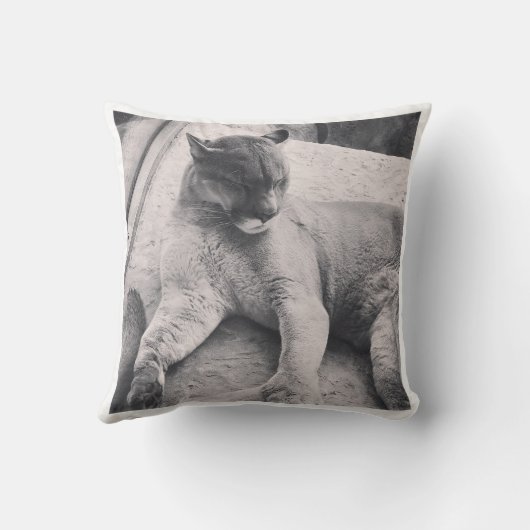 大きな猫枕 クッション (裏面)