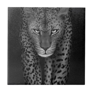 大きな猫 タイル