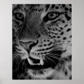 大きな猫 ポスター (正面)