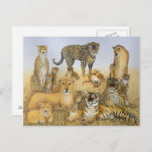 大きな猫 ポストカード (正面/裏面)