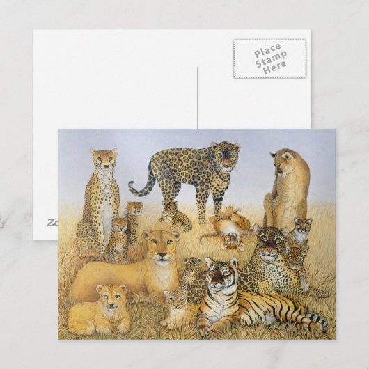 大きな猫 ポストカード (正面/裏面)