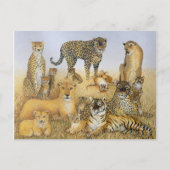 大きな猫 ポストカード (正面)