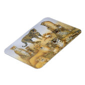 大きな猫 マグネット (左側)