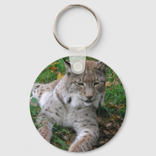 大きな猫- 11 キーホルダー