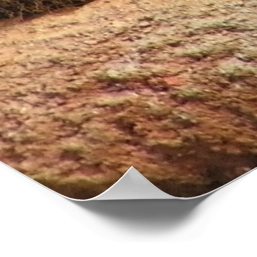 大きな猫- 6 ポスター (角)