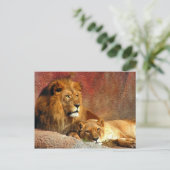 大きな猫- 6 ポストカード (スタンド正面)