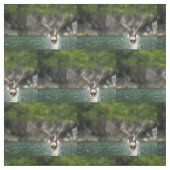 大きな獲物にハゲのワシ ファブリック (見本)