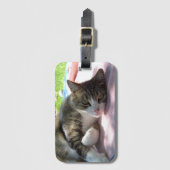 大きな男の子の猫のテーブルの荷物タグ ラゲッジタグ (正面縦)