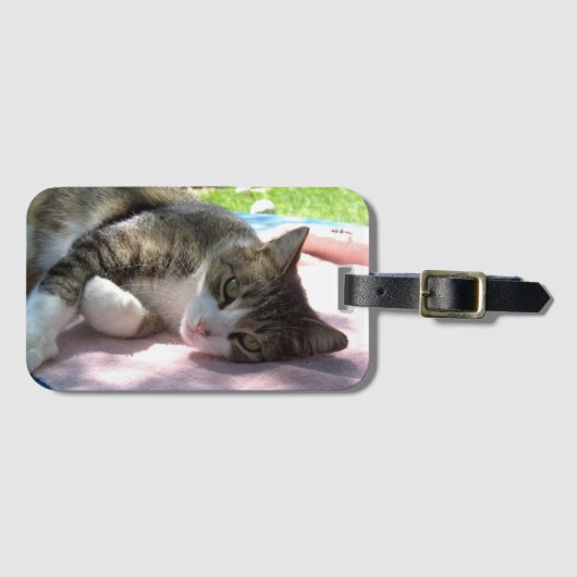 大きな男の子の猫のテーブルの荷物タグ ラゲッジタグ (正面横)