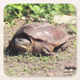 大きな男 スクエアペーパーコースター