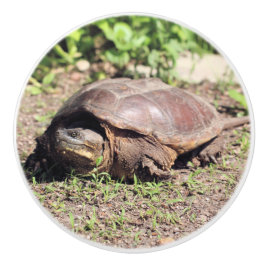 大きな男 セラミックノブ