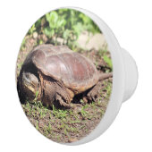 大きな男 セラミックノブ (右)