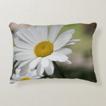 大きな白いデイジー