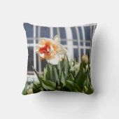 大きな白い水仙の春の日のポスター投げp クッション (裏面)
