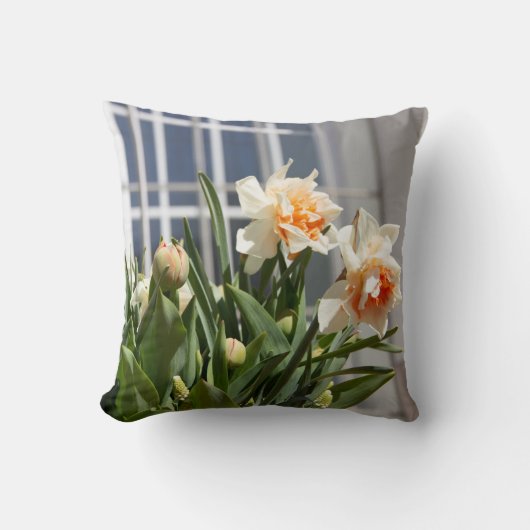 大きな白い水仙の春の日のポスター投げp クッション (正面)