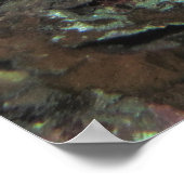 大きな目のペア ポスター (角)