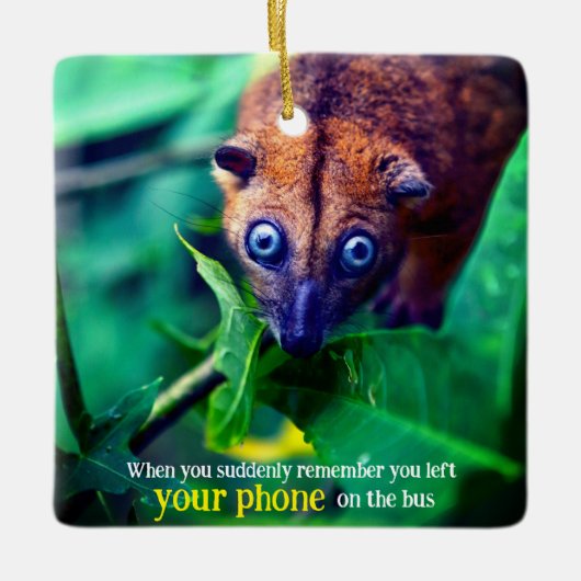 大きな目のポッサム セラミックオーナメント (正面)