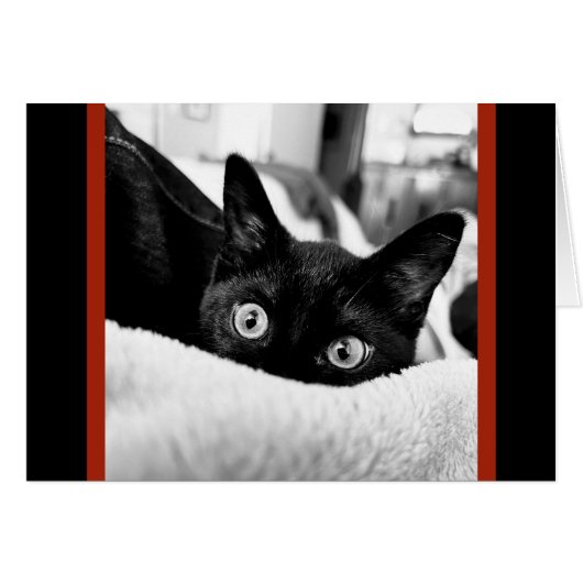 大きな目の子猫空白の、ノートカード (正面横)