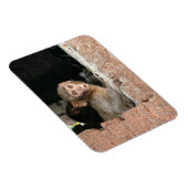 大きな目の長方形の磁石で怖いサル マグネット (右側)