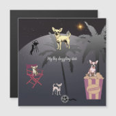 大きな目まい星の磁気カード (正面/裏面)