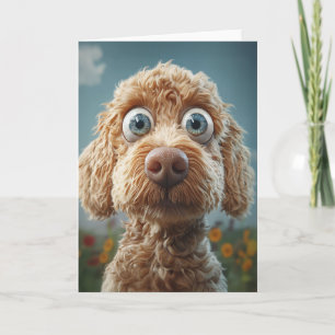 大きな目をしたオーストラリア産ラブラドール カード