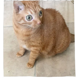 大きな目をした猫のシャワーカーテン シャワーカーテン