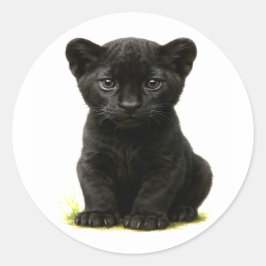 大きな目を持つ黒いヒョウ ラウンドシール