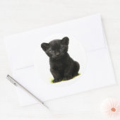 大きな目を持つ黒いヒョウ ラウンドシール (封筒)