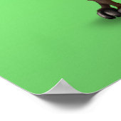 大きな目を緑に浮かべてキュートな興味津々 ポスター (角)