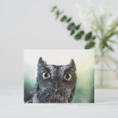 大きな目を見せる東の悲鳴フクロウポートレート ポストカード (スタンド正面)