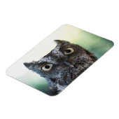 大きな目を見せる東の悲鳴フクロウポートレート マグネット (左側)