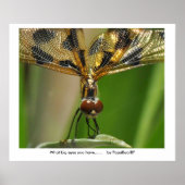 大きな目を…...... ポスター (正面)