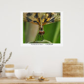 大きな目を…...... ポスター (キッチン)