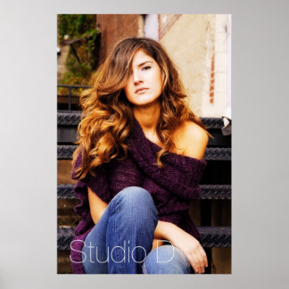 大きな窓3 ポスター