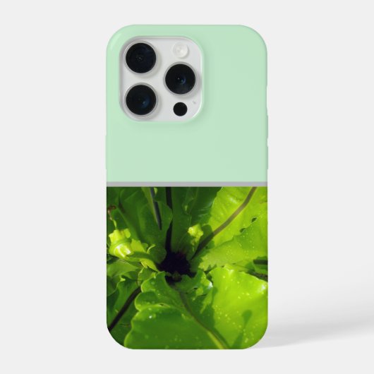 大きな緑のシダの葉 iPhoneケース (裏面)