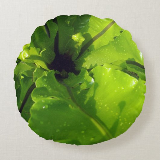 大きな緑のシダ葉の ラウンドクッション (正面)
