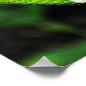 大きな緑のボアスネークキャンバス ポスター (角)