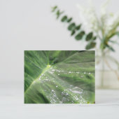 大きな緑離れと水はがき ポストカード (スタンド正面)