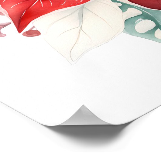 大きな美しい赤いポインセチアのクリスマスフラワー ポスター (角)