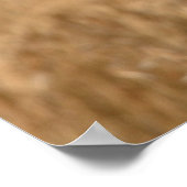 大きな耳を持つジャックラビット写真ポスタープリント ポスター (角)