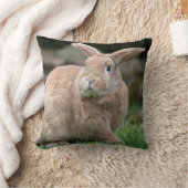 大きな耳を持つ可愛いジンジャーバニー クッション (ブランケット)