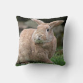 大きな耳を持つ可愛いジンジャーバニー クッション (裏面)