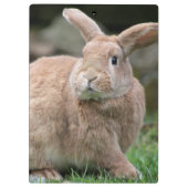 大きな耳を持つ可愛いジンジャーバニー クリップボード (裏面)