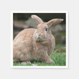 大きな耳を持つ可愛いジンジャーバニー スタンダードカクテルナプキン