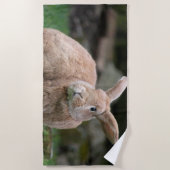 大きな耳を持つ可愛いジンジャーバニー ビーチタオル (正面)