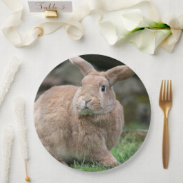 大きな耳を持つ可愛いジンジャーバニー ペーパープレート