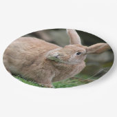 大きな耳を持つ可愛いジンジャーバニー ペーパープレート (アングル)